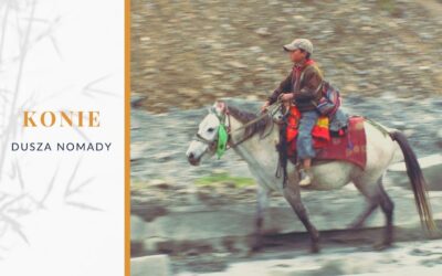 Konie – dusza nomady. Festiwale jeździeckie w Tybecie