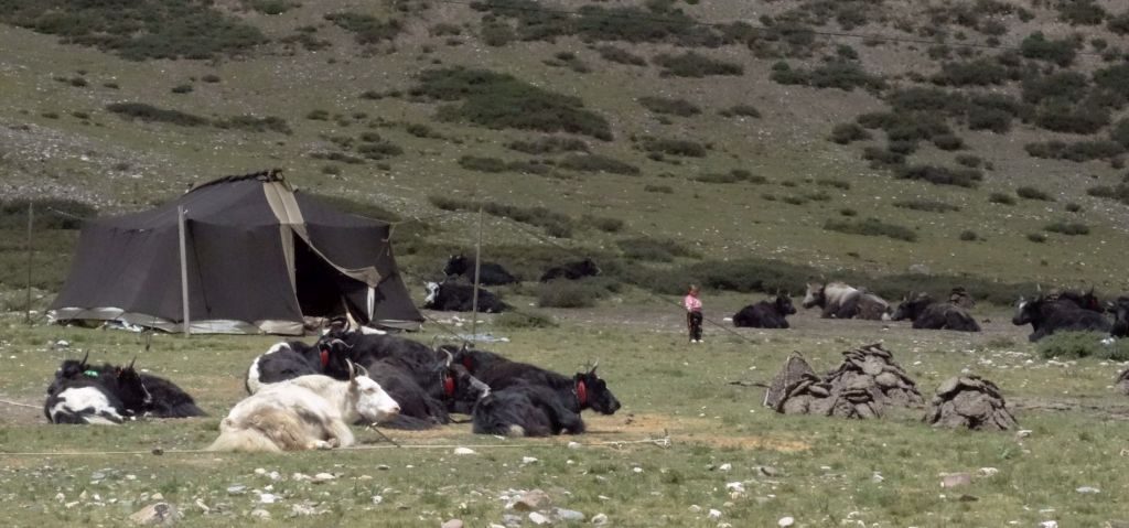 Tybetańscy nomadzi