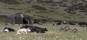 Tybet. Nomadzi
