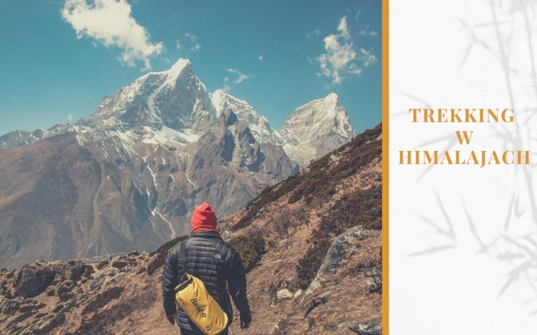 trekking w himalajach