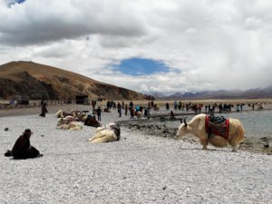 Tybet, Namtso; jaki; Wyprawydoazji.pl