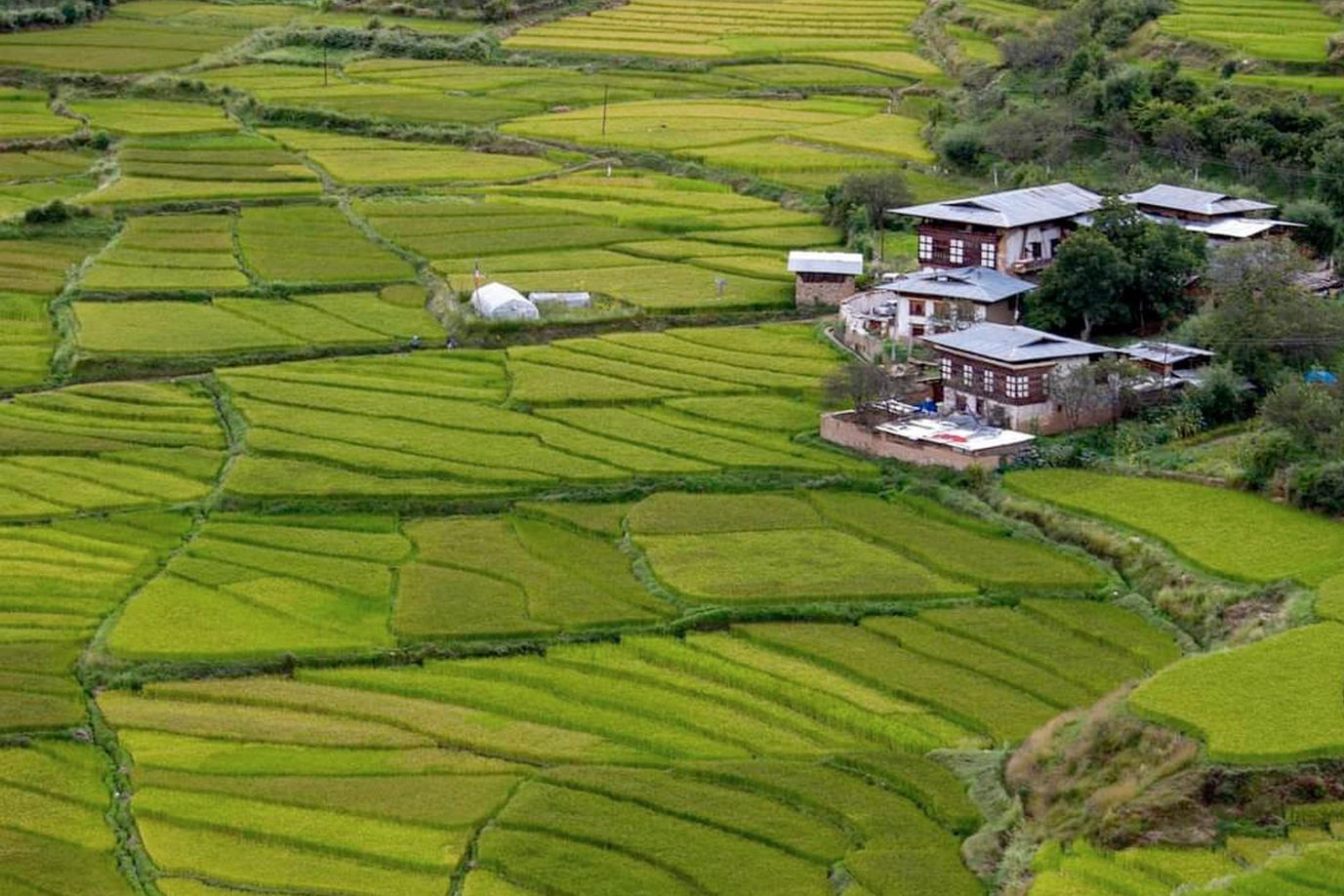 Wyprawy grupowe do tybetu i bhutanu<br />
Wyprawa do Bhutanu, Bhutan slow travel Spokojny krajobraz Bhutanu symbolizujący podróż w rytmie miejsca